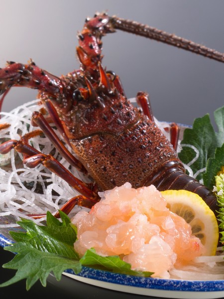 【感謝プラン】えび２種類の美味しさ！伊勢えび造り＆タルタル焼き+舟盛付☆石神さん徒歩２分