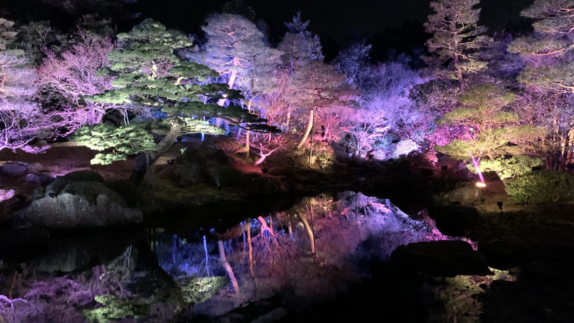 【由志園】幻想的な風景が楽しめる期間限定のイルミネーションが人気です。