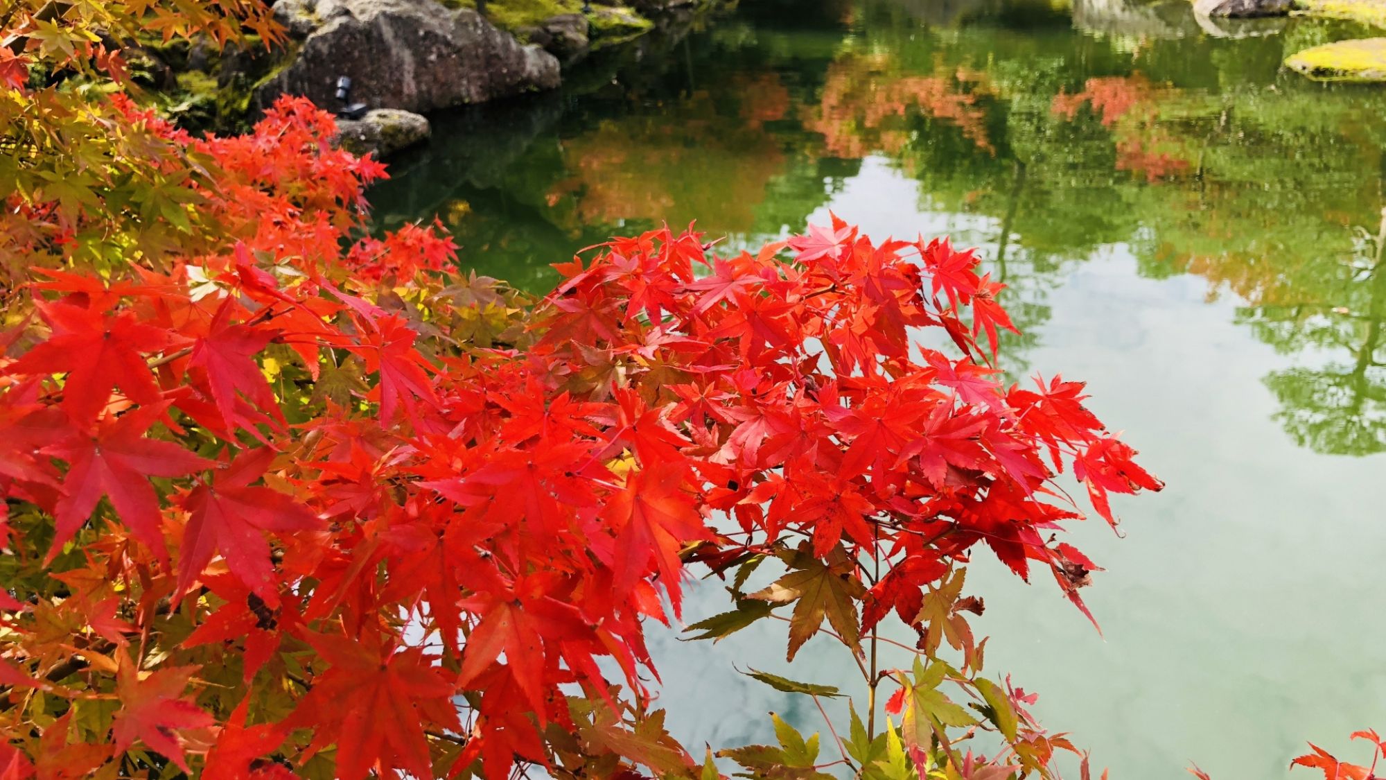 【安来市の清水寺】十一面観音様をご本尊とする厄払いとして有名です。