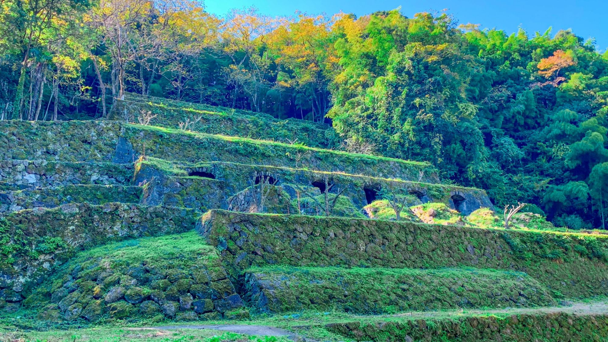 【石見銀山遺跡】日本最大の銀山遺跡。夏の石見銀山遺跡は美しい新緑が見所です。当館よりお車で約50分。