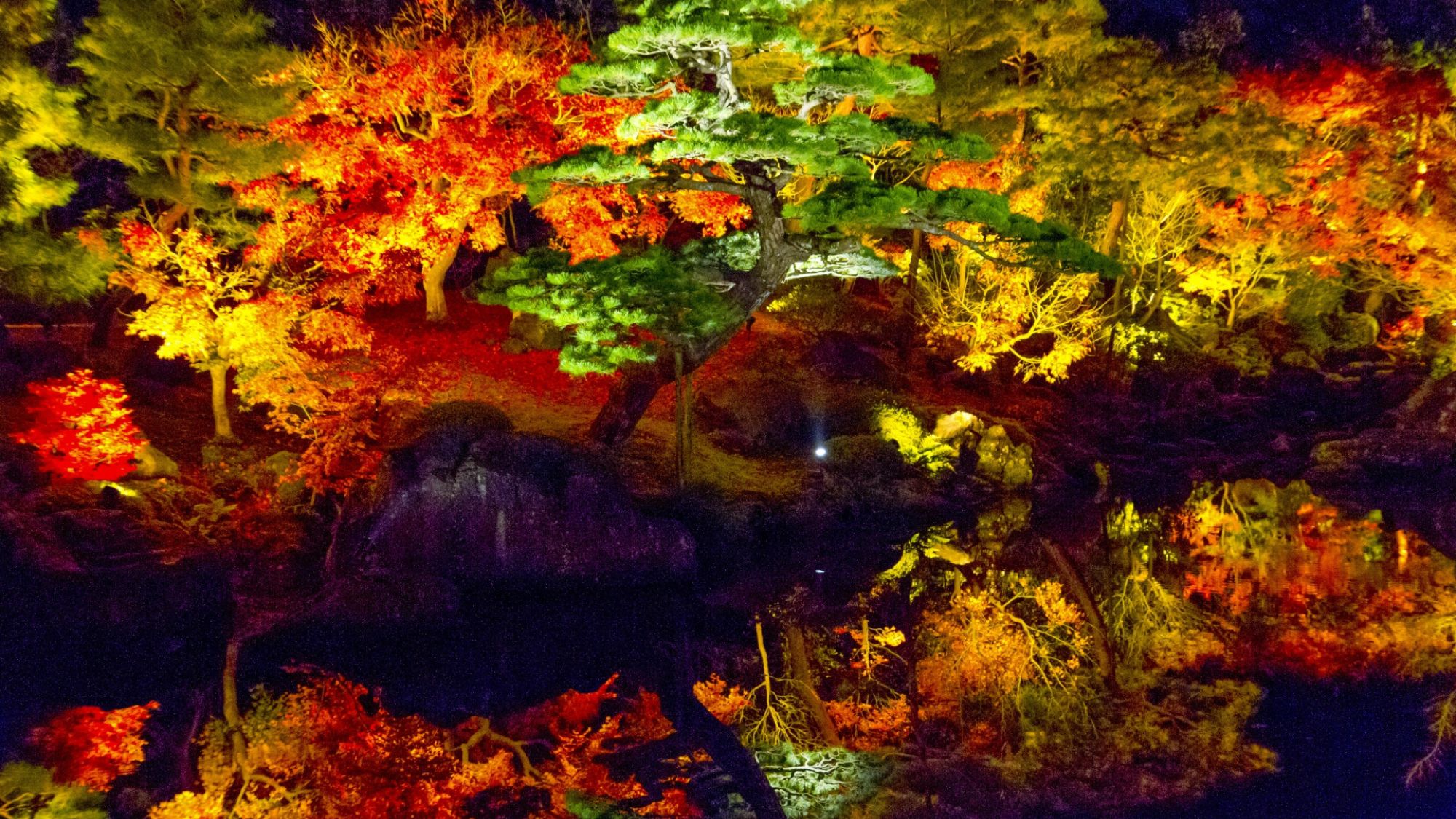 【由志園】広さ4万平方メートル以上におよぶ池泉回遊式日本庭園。水鏡に映り込む逆さ紅葉も見応え十分。