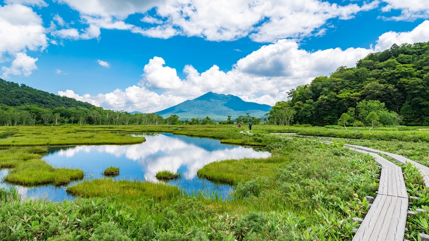 **尾瀬ハイキング/初夏の気持ちよい尾瀬にお出掛けしませんか？