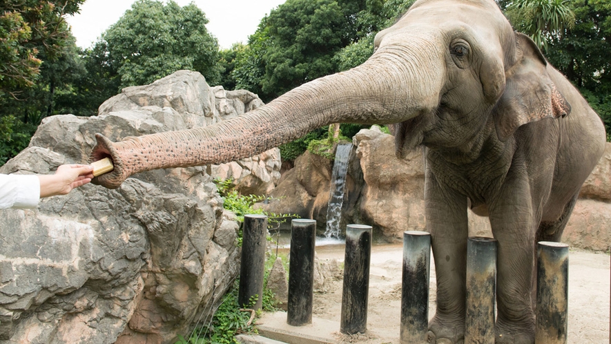 【到津の森公園／イトウズノモリコウエン】