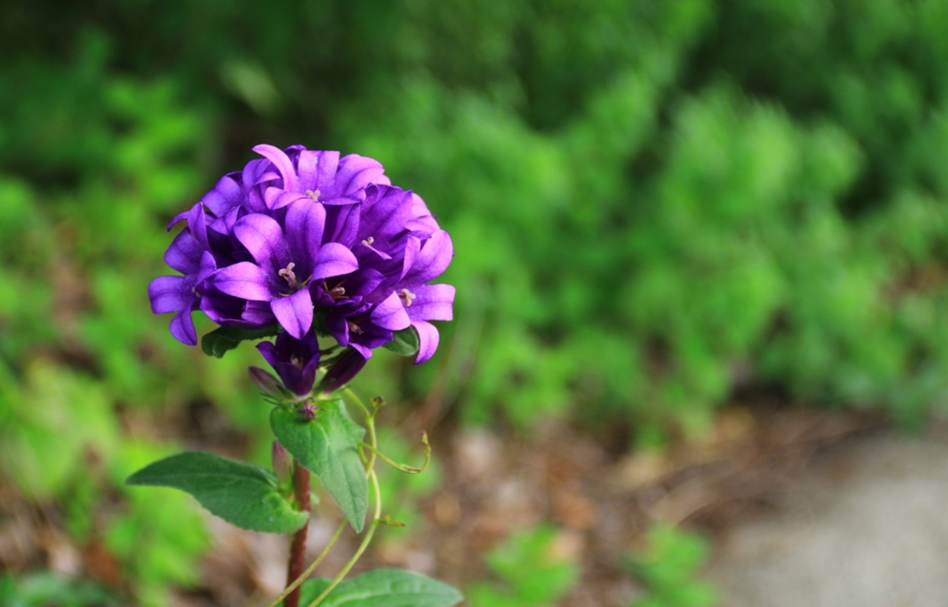 四季折々の自然を感じられます