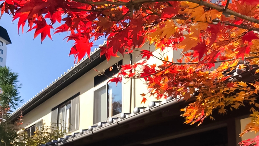 ・【外観】秋には美しい紅葉が皆さまをお出迎えします