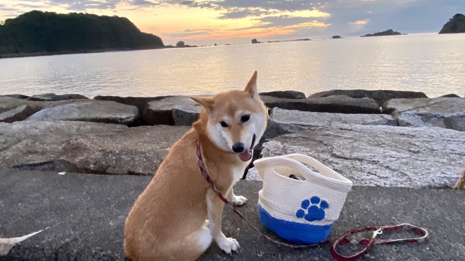 ★釣り・サーフィン・SUP・カヤックを存分に★夕食のみプラン★温泉掛け流し24時間OK★