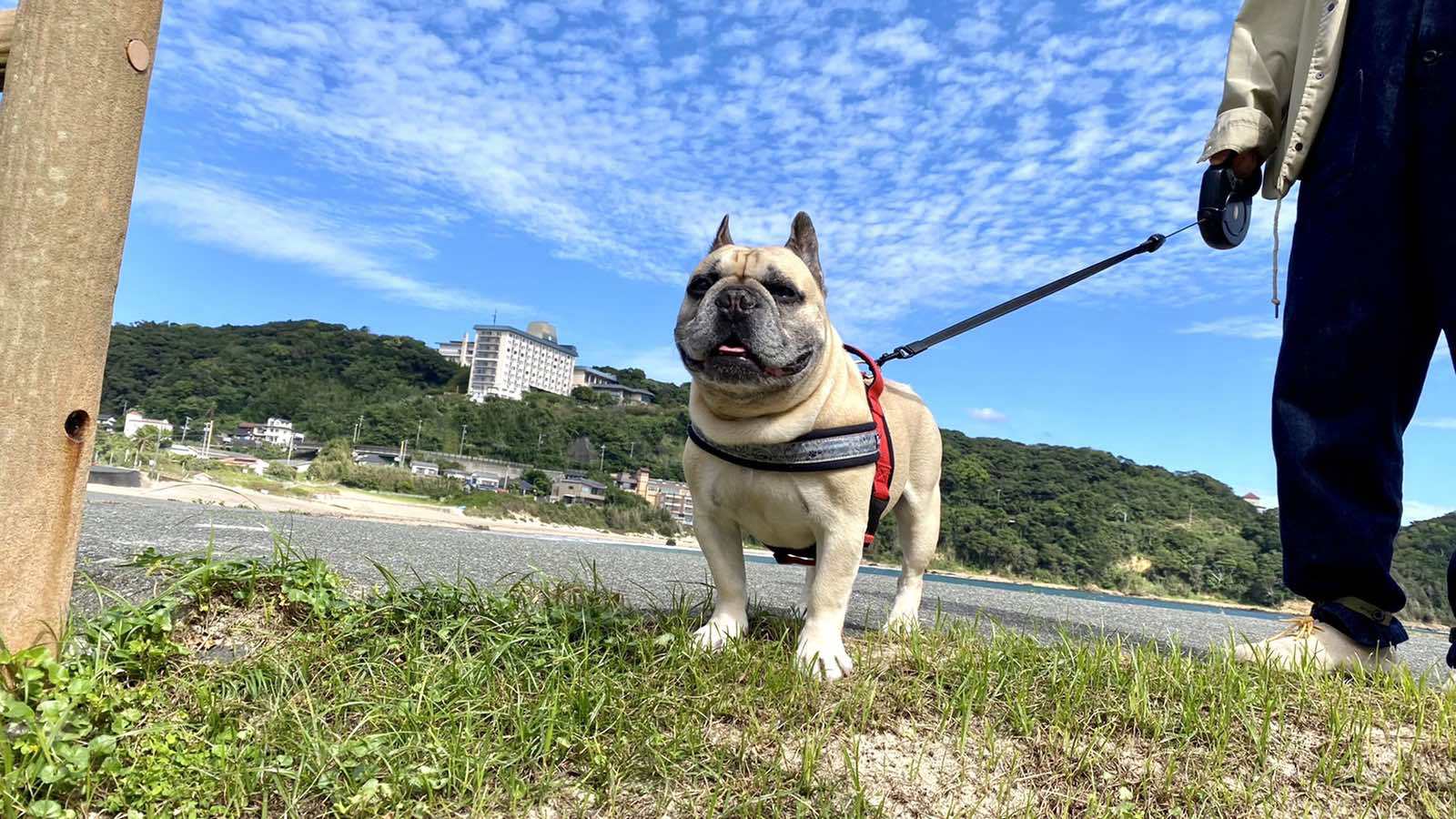 ★大好きなペットと一緒に★海まで5秒・24時間温泉OK・２食付プラン！