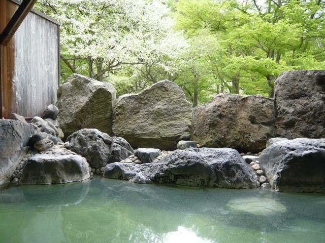 春ですよ〜　【得だ値】で泊まるお部屋おまかせプラン〜日本で有数の濃い硫黄泉で温泉三昧〜　1泊2食付き