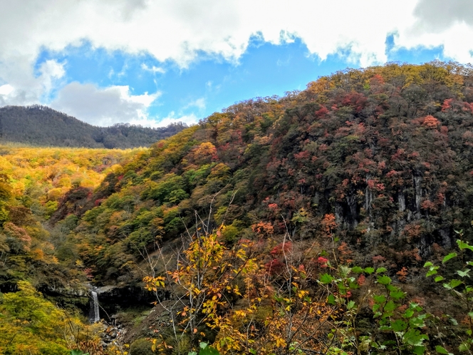 紅葉のいろは坂