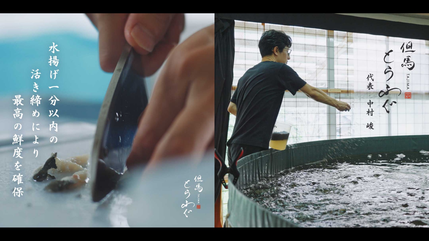 【但馬とらふぐ】てっちり鍋コース｜活き締めによる高鮮度のフグを使用