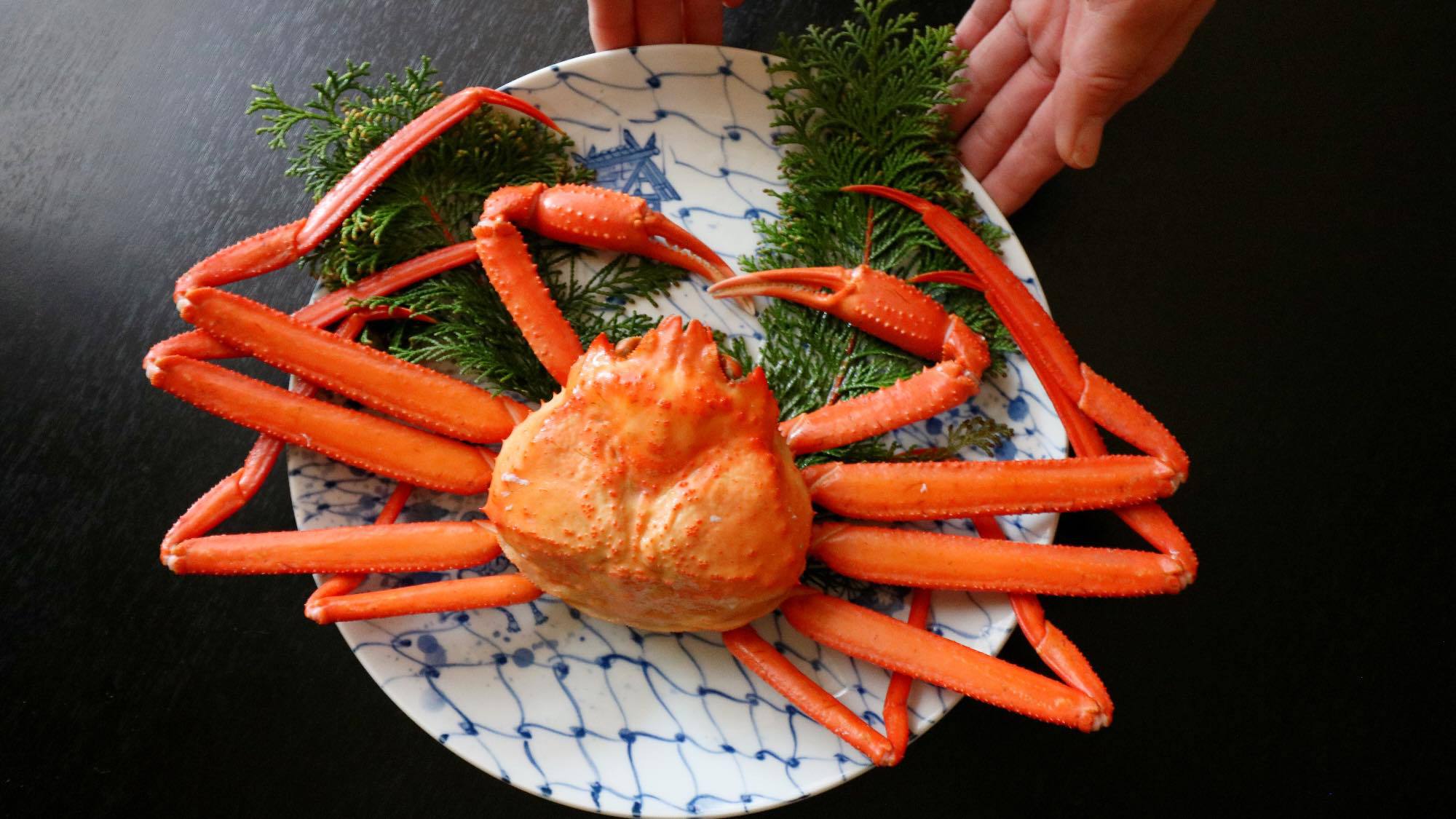 【香住蟹 × 但馬牛】名産「香住蟹」を丸ごと1杯堪能！但馬牛の陶板焼きも味わう贅沢グルメ会席プラン