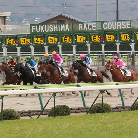 観光地：福島競馬場　中央競馬が開催される全国10ヶ所のひとつにして東北唯一のＪＲＡ競馬場。