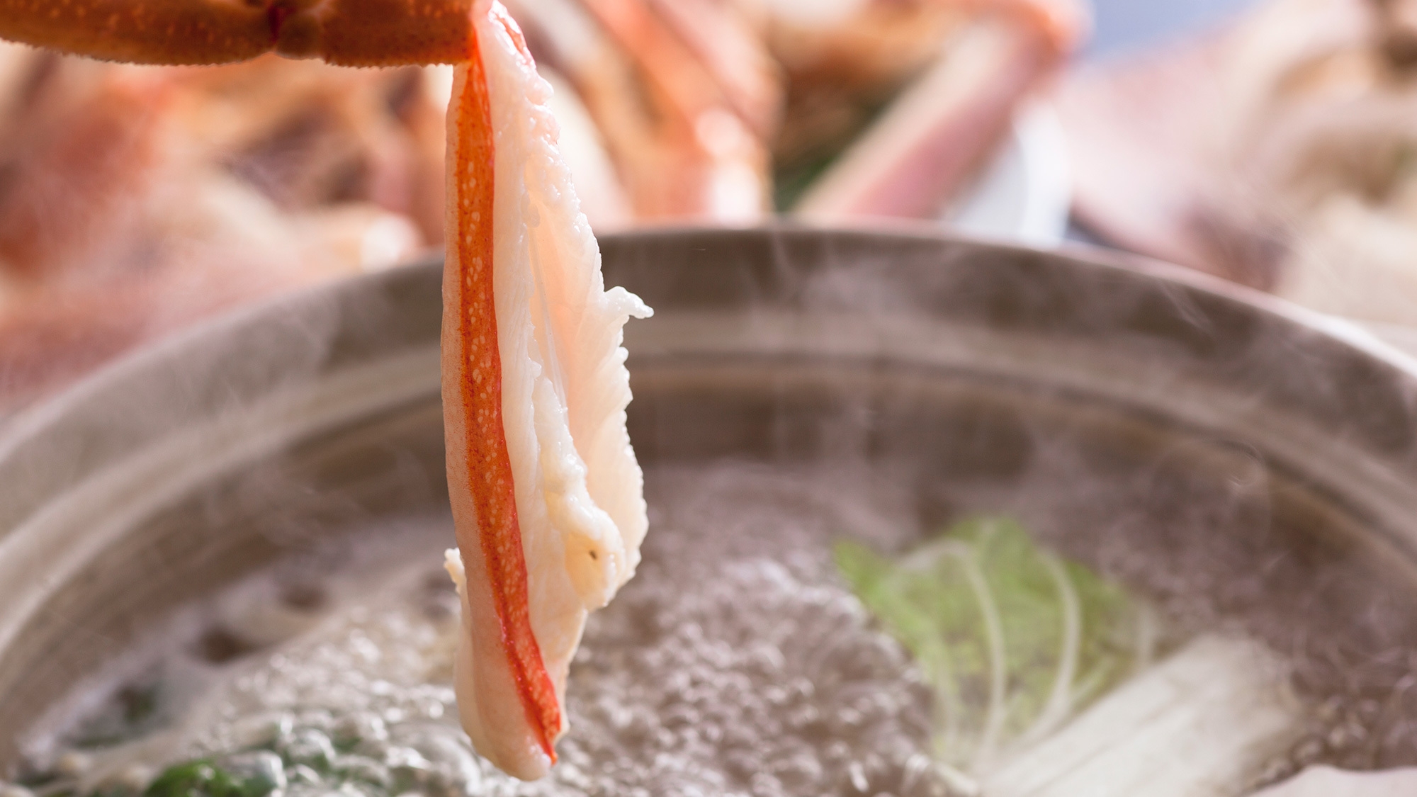 ＜旬到来・松葉ガニ＞かにしゃぶ＆陶板焼きガニ＆カニ刺し！ボリューム満点