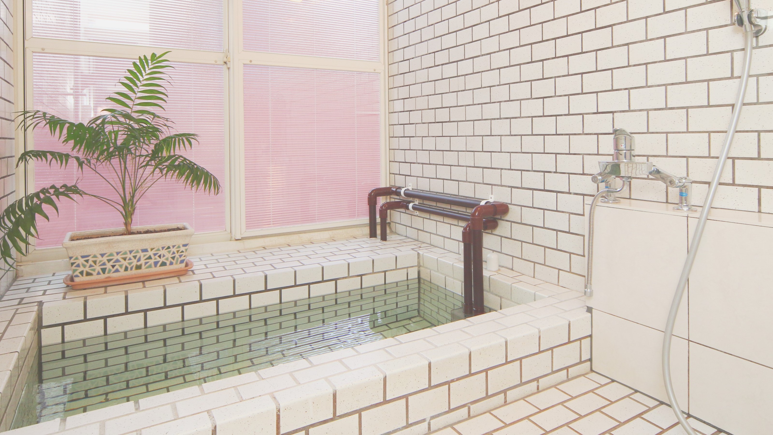 夢ペンション ファニーポケット 写真 動画 楽天トラベル 夢ペンション ファニーポケット 写真 動画 楽天トラベル