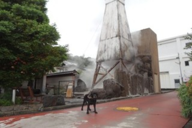 熱川温泉の源泉