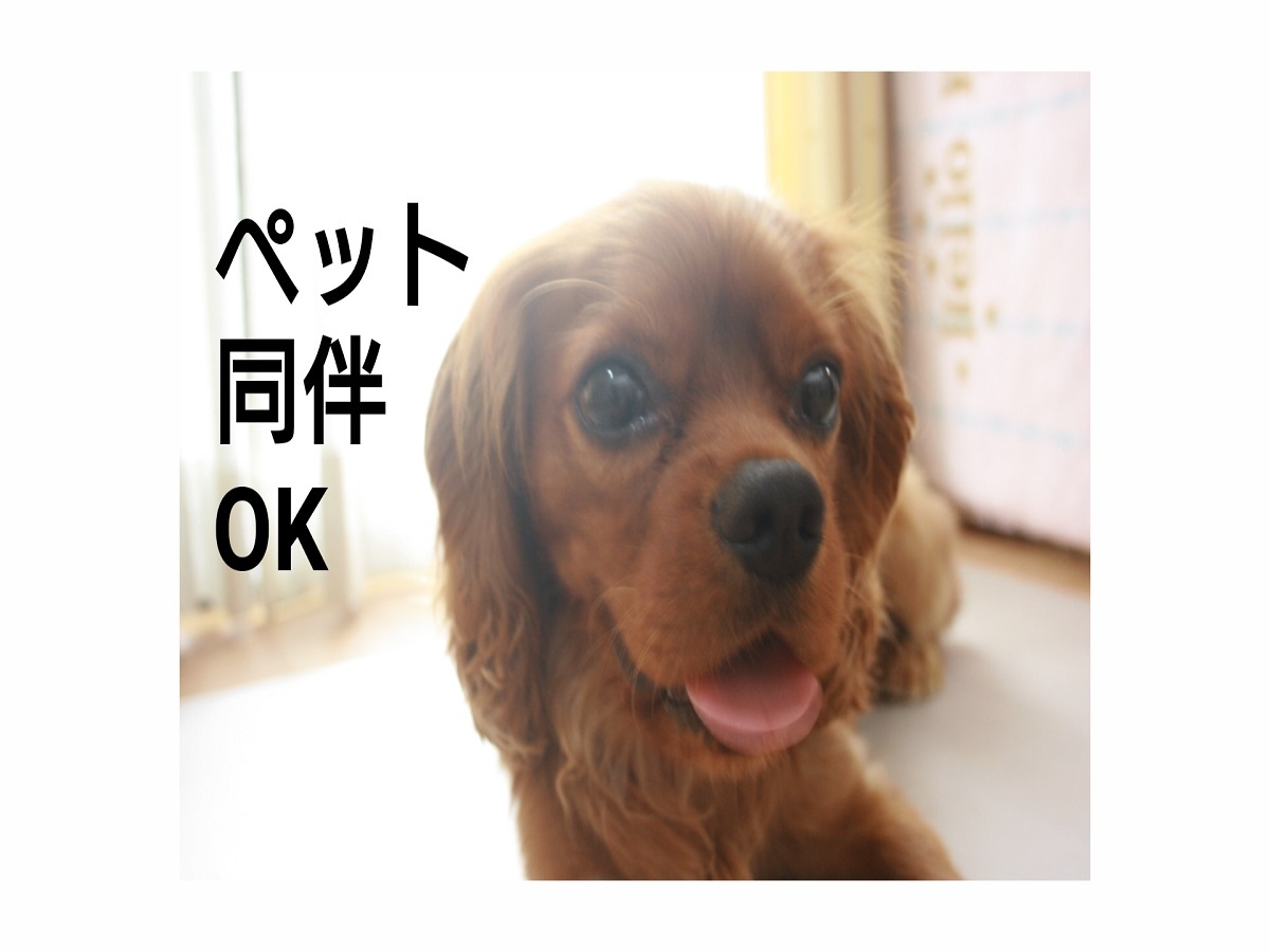 ペット同伴ルーム 定員4名様【和洋室PET】