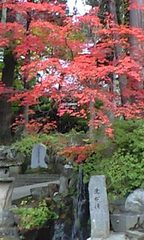 野沢温泉の紅葉