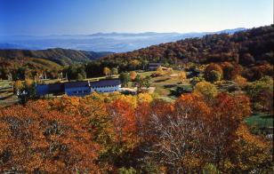 上ノ平高原の紅葉