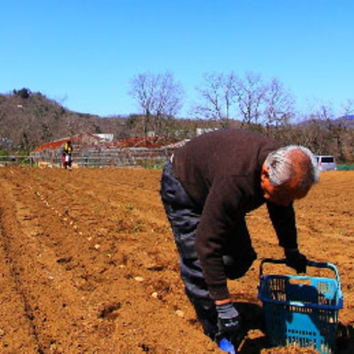 【直営農場 秩父ふるさと村】　季節に合わせてさまざまな野菜を育てています。