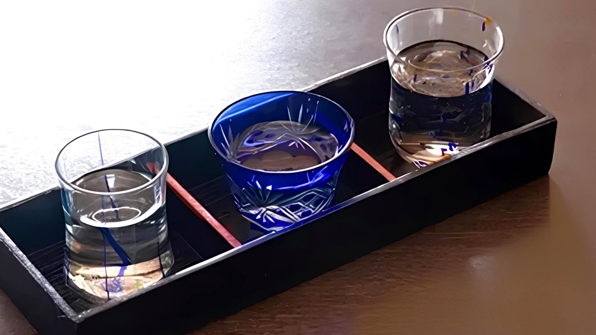 【地酒3種ペアリング】料理に合わせた静岡地酒＋伊豆の幸を堪能する『波音会席』