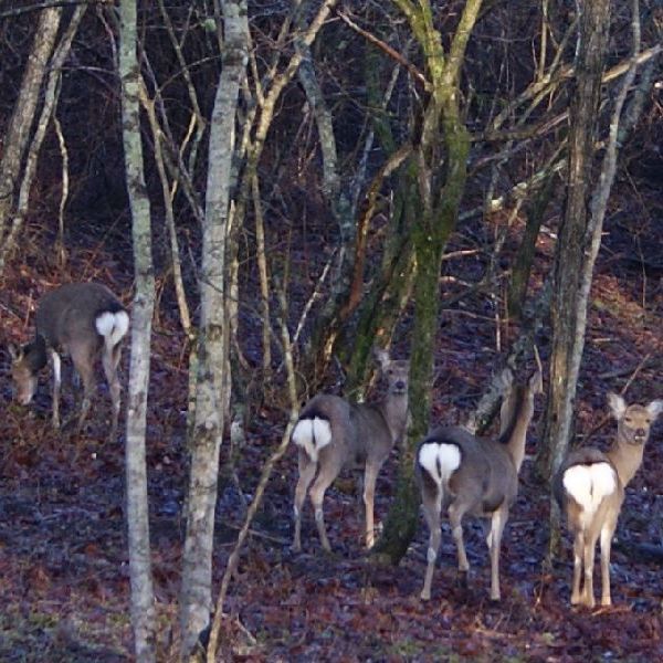 ペンション ブルーリボン 格安予約 宿泊プラン料金比較 トラベルコ