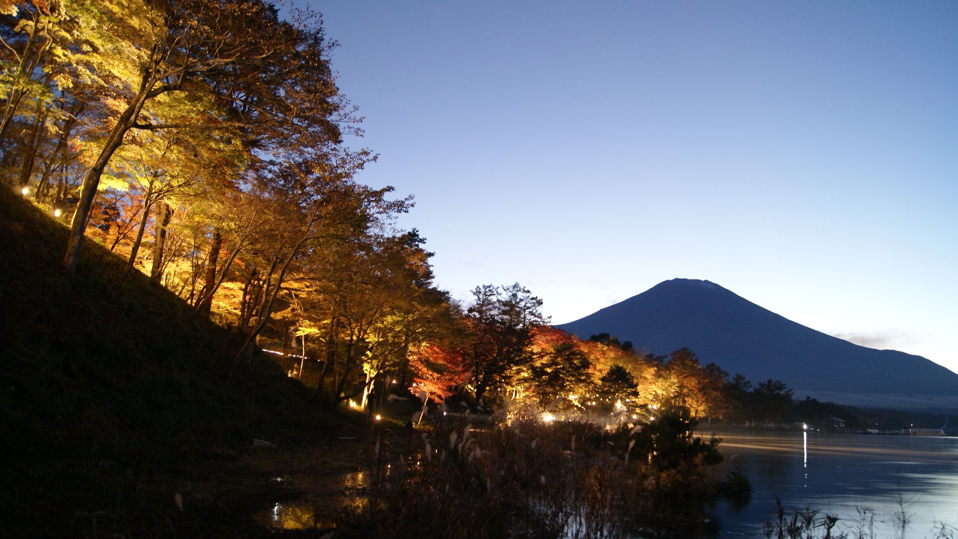 紅葉まつりのライトアップ。