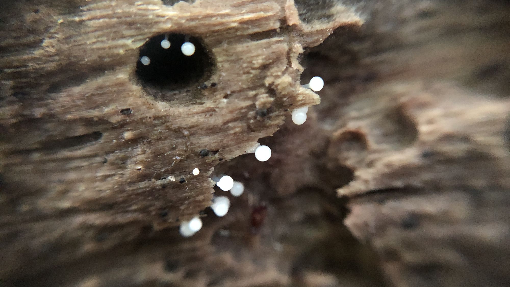 まるで絵本の世界みたい。