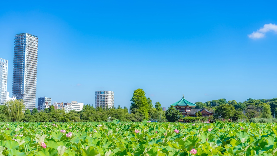 上野恩賜公園の目の前のホテル♪