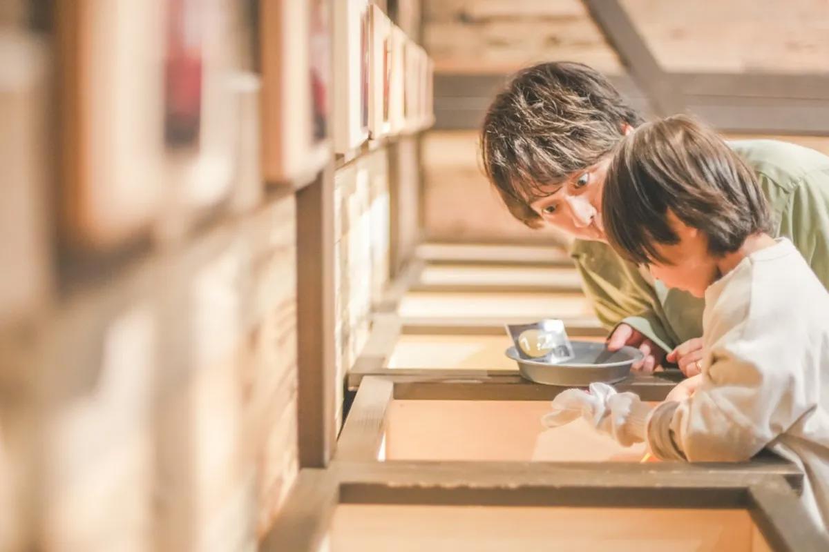 エネルギーランド（化石発掘体験）