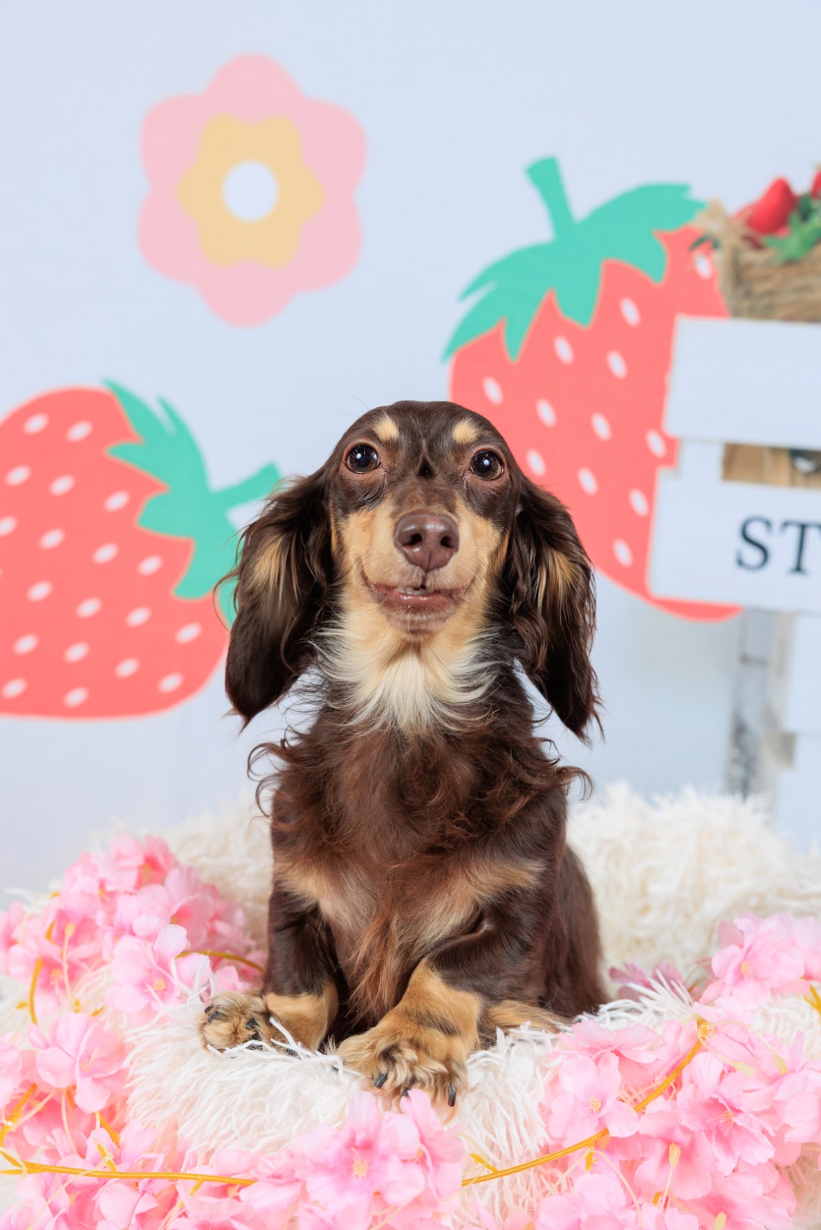 お洒落に写真撮影してもらいました。