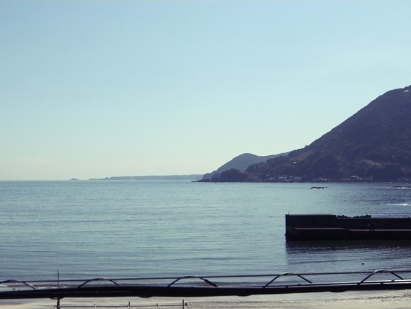 写真6