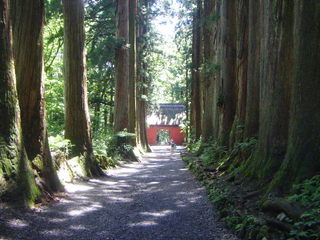 戸隠神社奥社参道杉並木