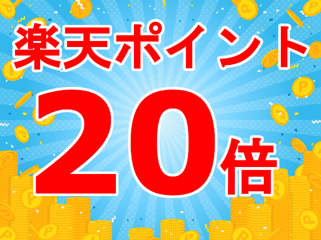  【楽天ポイント20倍＆１２時レイトアウト】スタンダードプラン