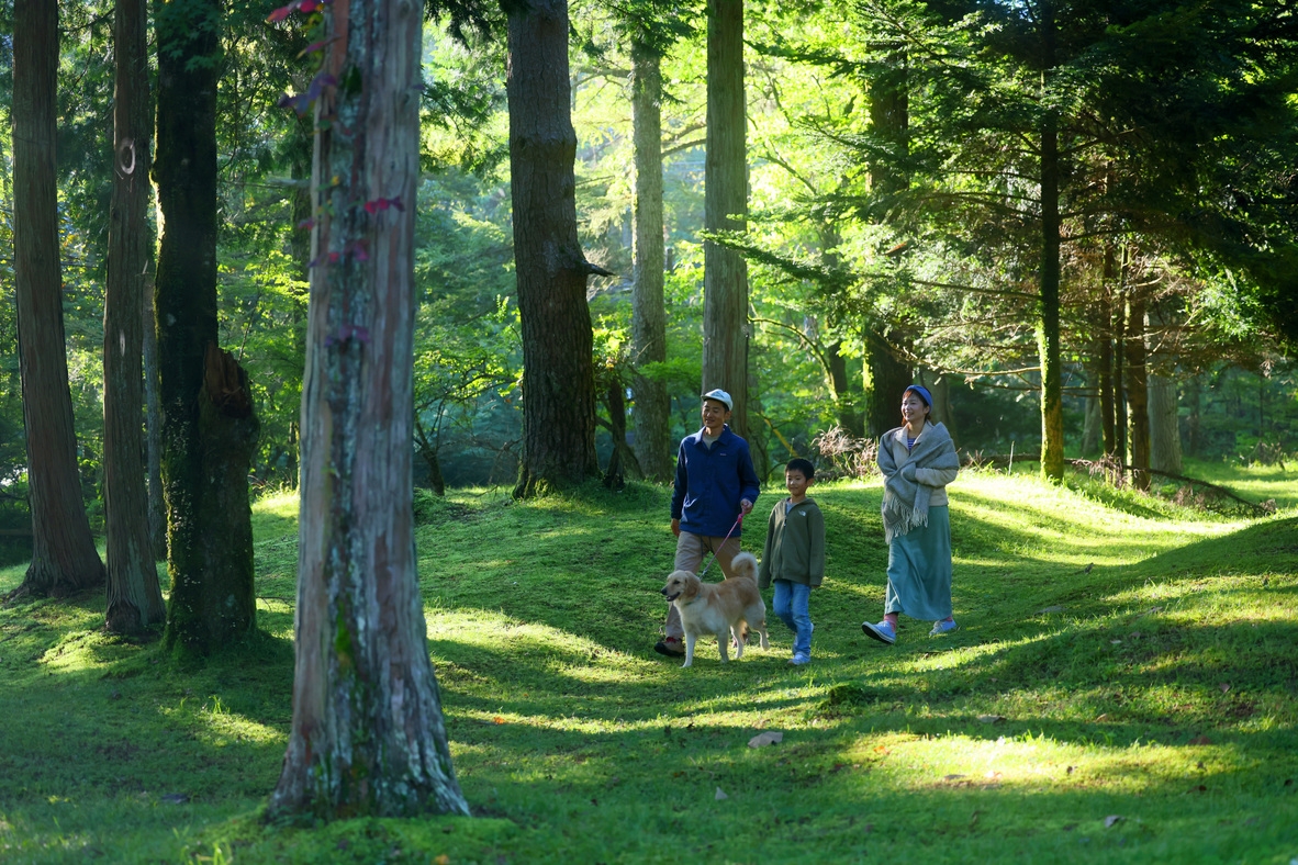 【朝食付き】緑あふれる森の中の本館レストランにてご朝食をご提供いたします（３〜４月宿泊）