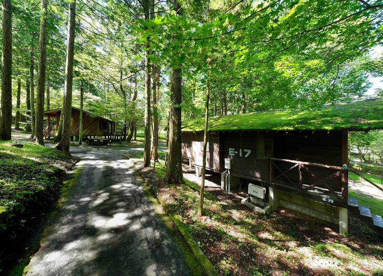 【食事無し】森の中のテラス付コテージで宿泊！　マイナスイオン溢れる大自然を満喫してみませんか？