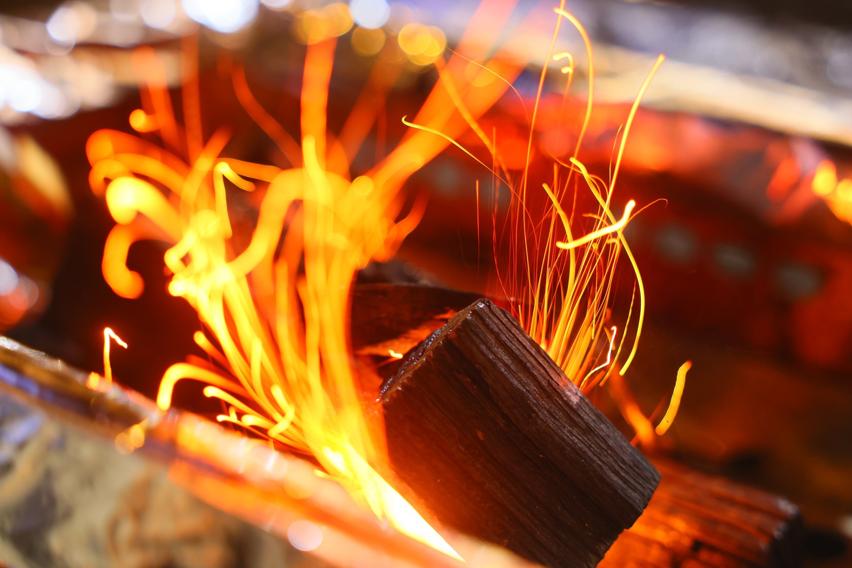 【食事無し】森の中のテラス付コテージで宿泊！　マイナスイオン溢れる大自然を満喫してみませんか？