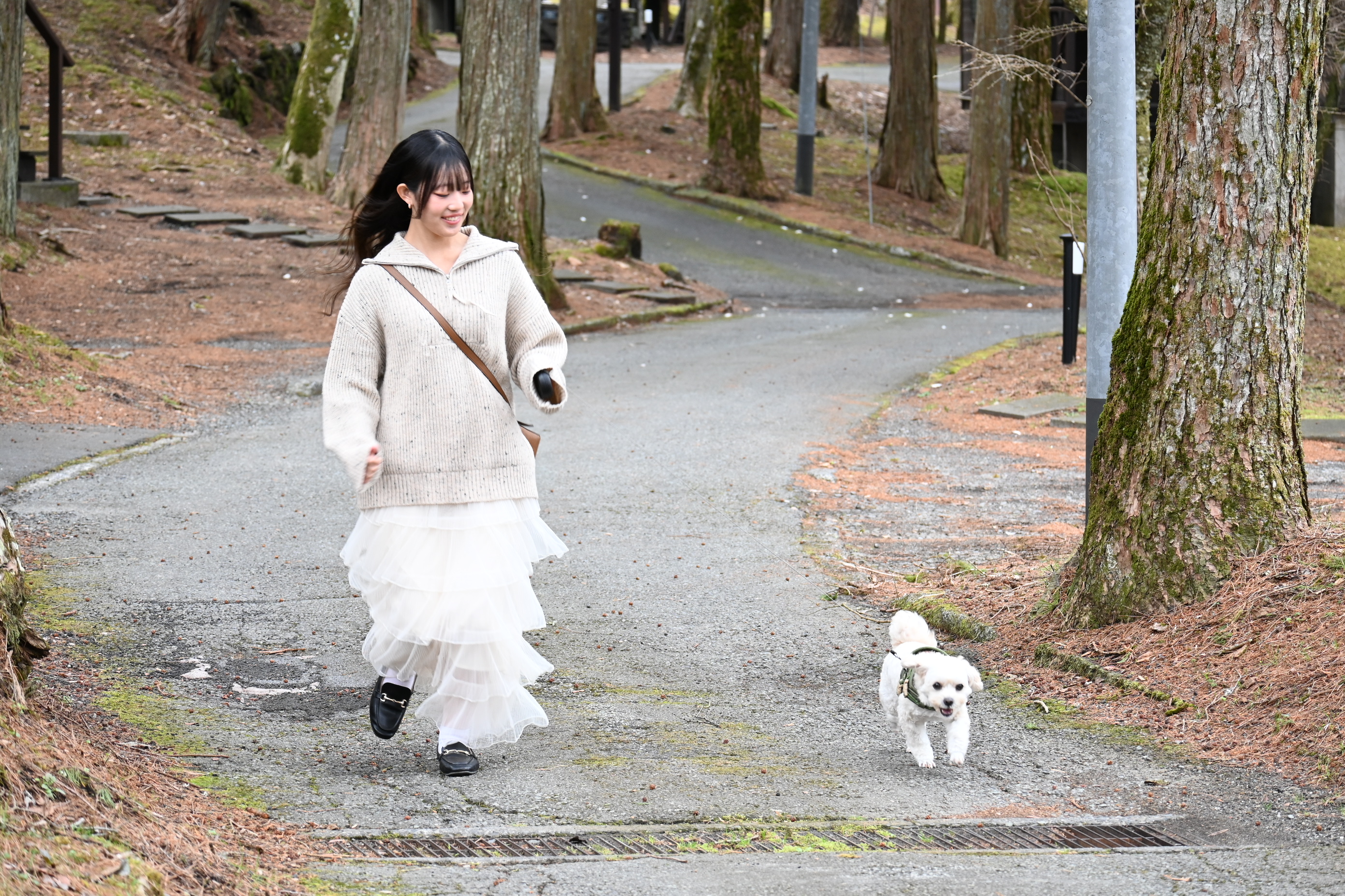 周回路をワンちゃんとお散歩