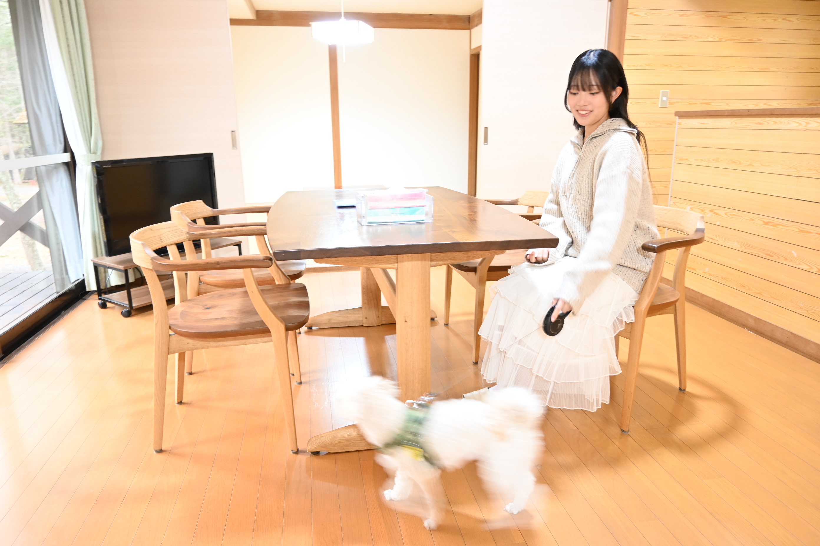 コテージ内観（リビングのワンちゃんとモデルさん）