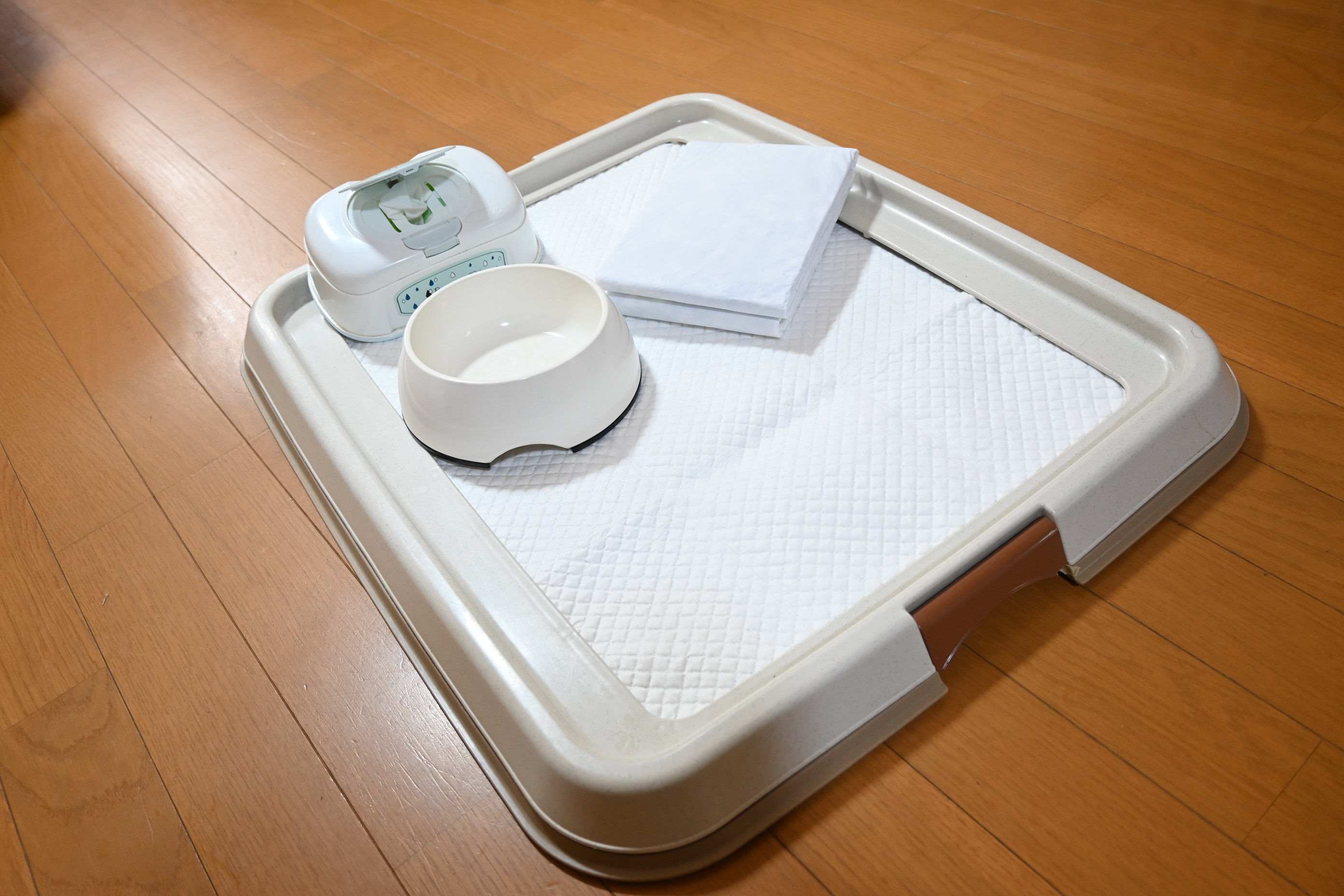 ワンちゃん用トイレシート