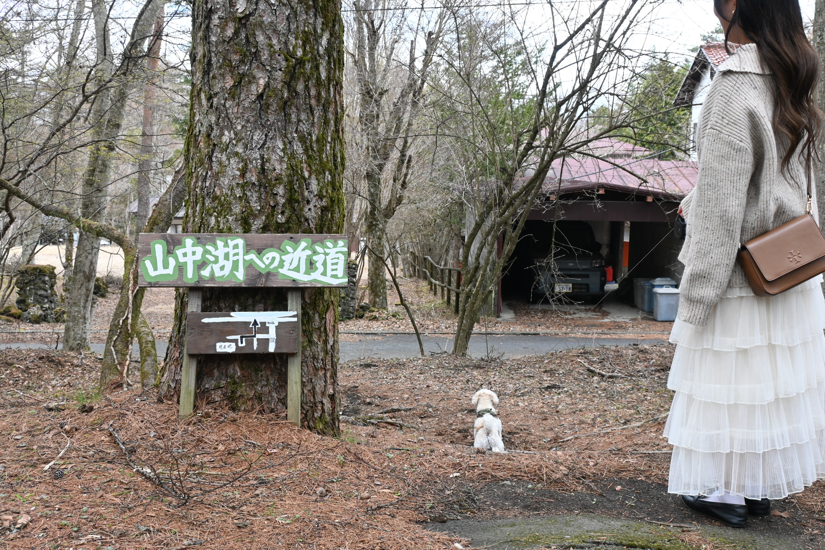 山中湖への近道！？