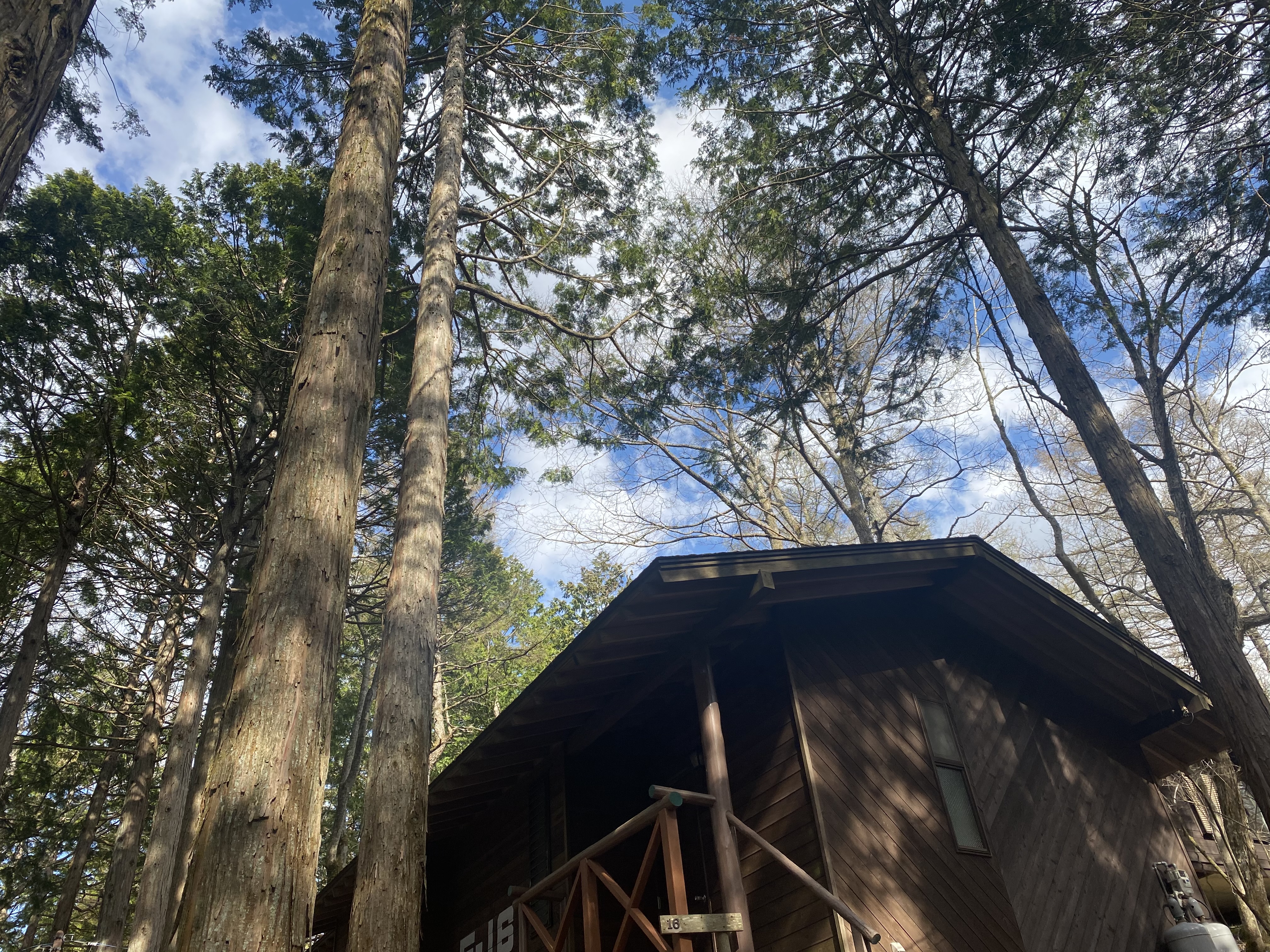 山中湖ロッヂ花月園 写真 動画 楽天トラベル 山中湖ロッヂ花月園 写真 動画 楽天トラベル