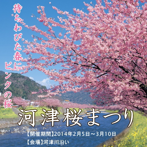 【伊勢海老祭】◆無料貸切風呂◆伊勢海老と金目鯛の饗宴！伊豆の味覚満載、贅沢づくし磯料理＜部屋食＞