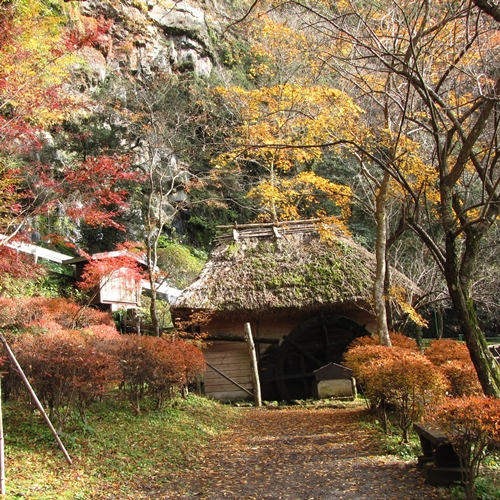 【周辺観光】高千穂峡／秋には美しい紅葉がみられます。