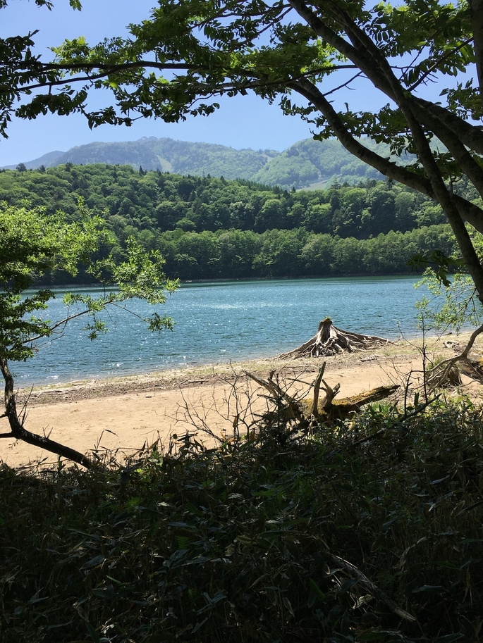 【夏休み】お盆休みの１泊２食付きプラン