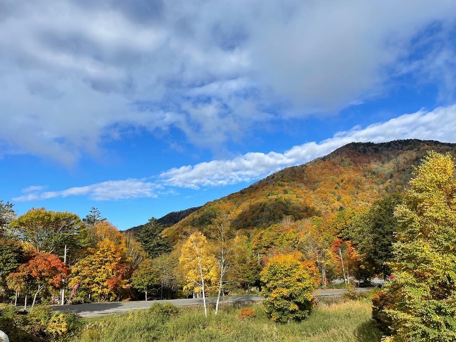 【限定】ロープウェーチケット付き１泊２食付き宿泊プラン♪お得な登山パック　温泉割引も有り♪