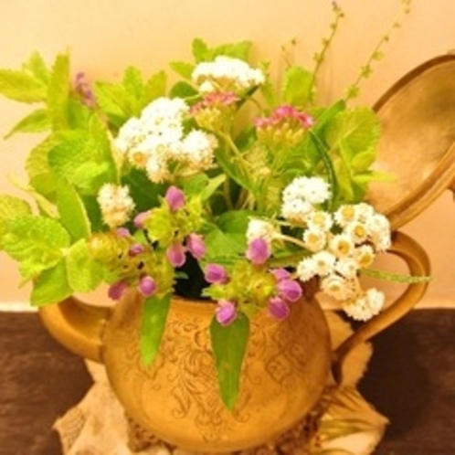【お花】庭に咲く四季折々の花を洗面に飾っています。