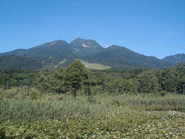 夏季的妙高山