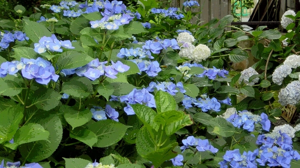 黒石温泉郷落合温泉 かねさだ旅館 宿泊予約 楽天トラベル 黒石温泉郷落合温泉 かねさだ旅館 宿泊予約 楽天トラベル