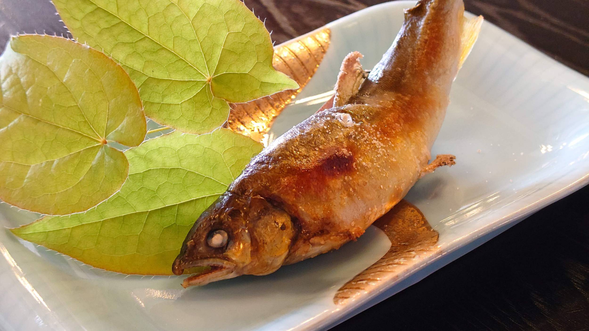 【鮎三昧】活鮎のお造り・鮎塩焼き・鮎茶漬け堪能　骨は唐揚げでおつまみに☆期間限定☆