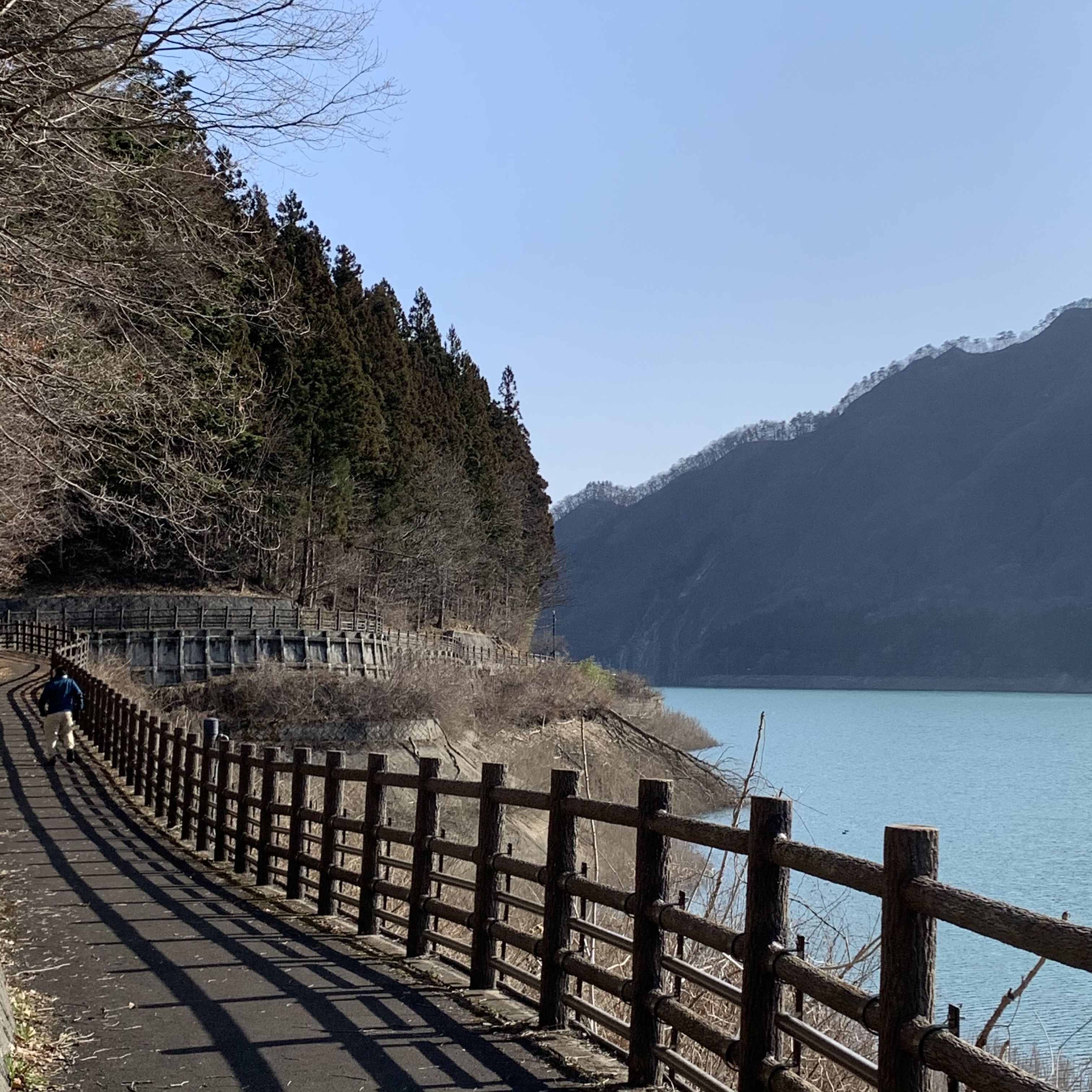 赤谷湖自然遊歩道でリフレッシュ